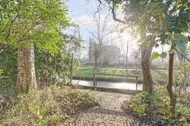 Photo 28 of Schoener 32