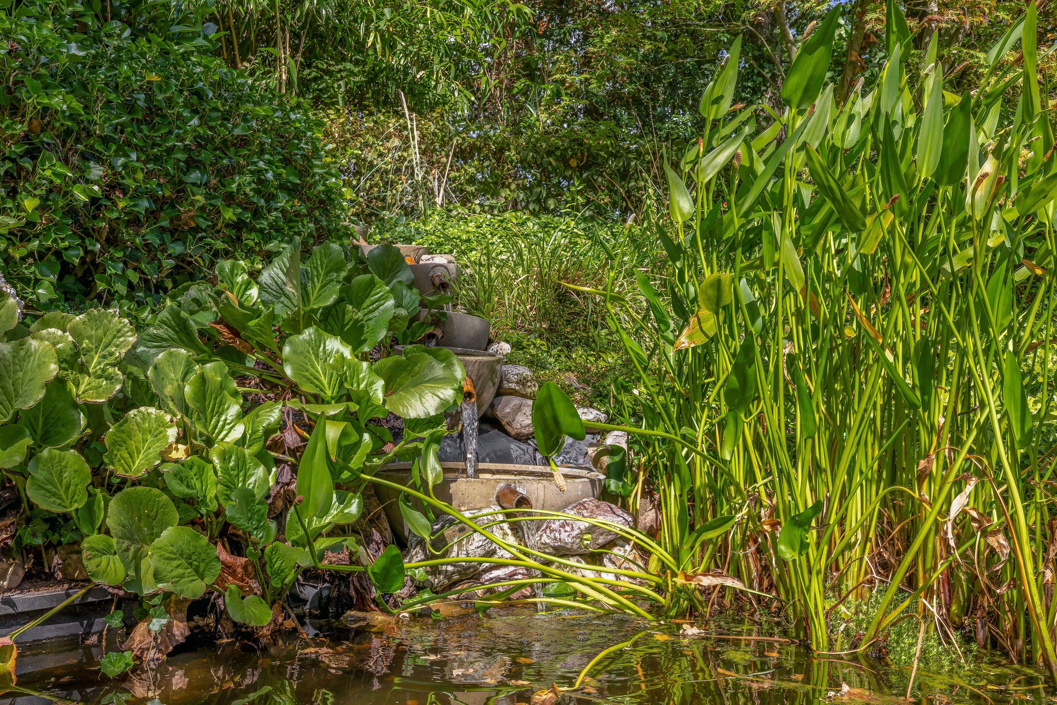 Photo 81 of Parkkamp 37