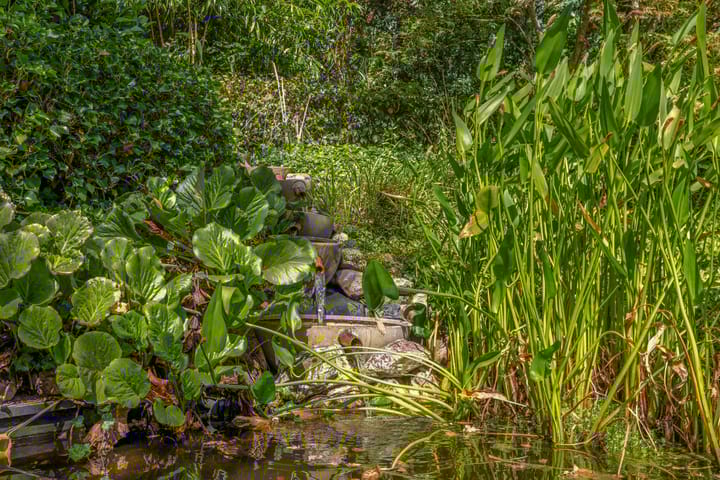 Foto 81 van Parkkamp 37