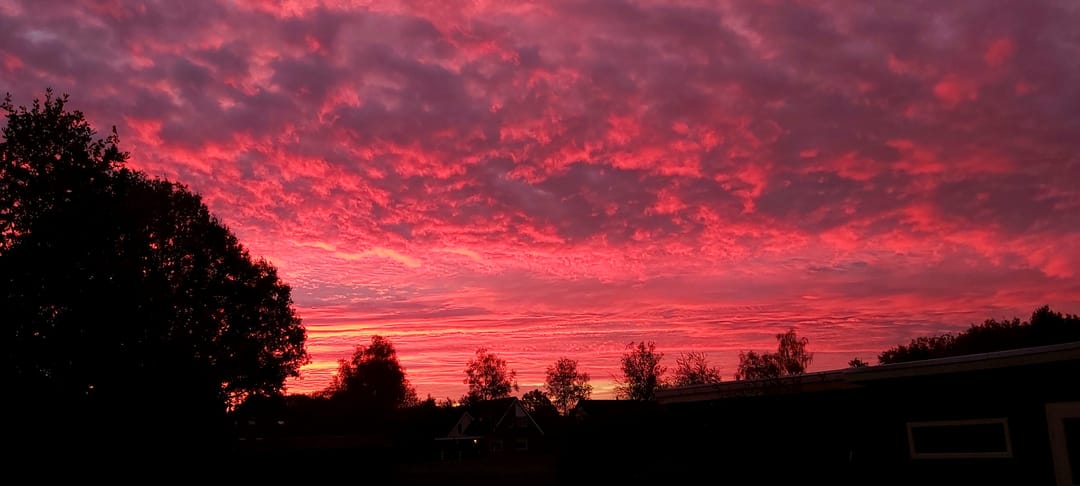 Foto 31 van Kreuzeveen 44