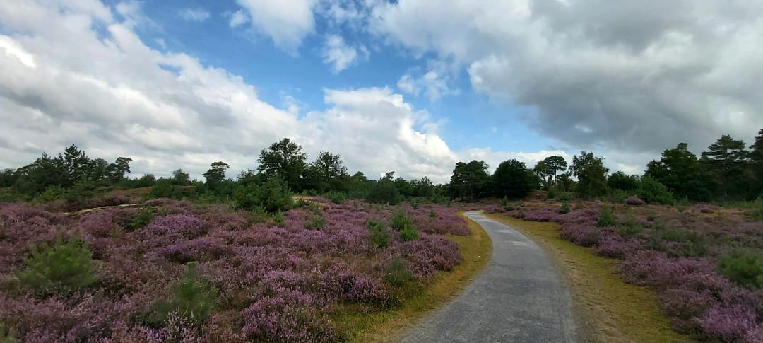 Foto 32 van Kreuzeveen 44