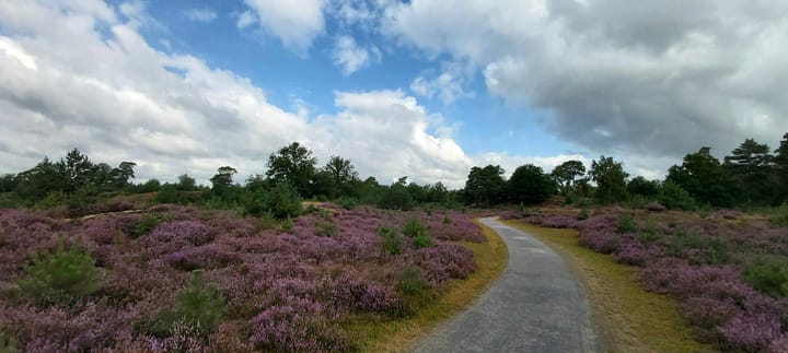 Photo 32 of Kreuzeveen 44