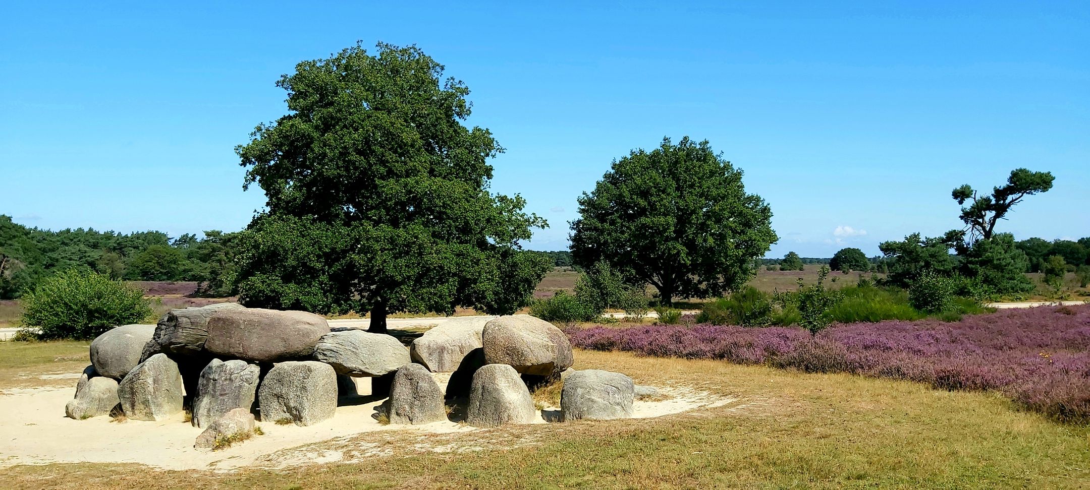 Foto 33 van Kreuzeveen 44