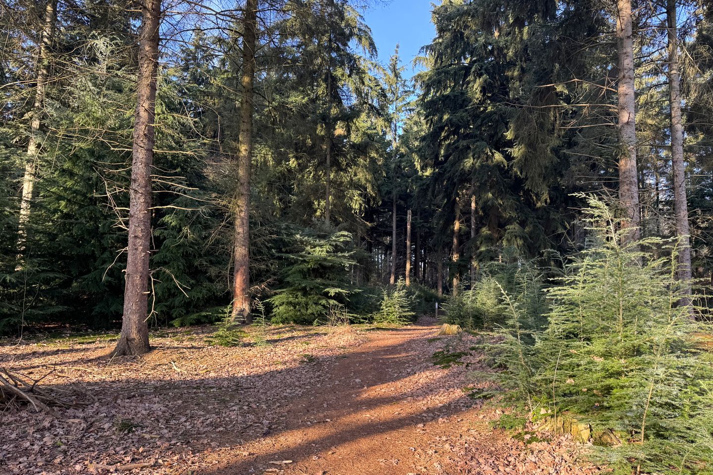 Foto 5 van Bruine Hoopsweg 6-A336