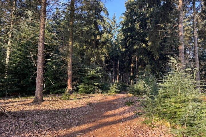 Foto 5 van Bruine Hoopsweg 6-A336