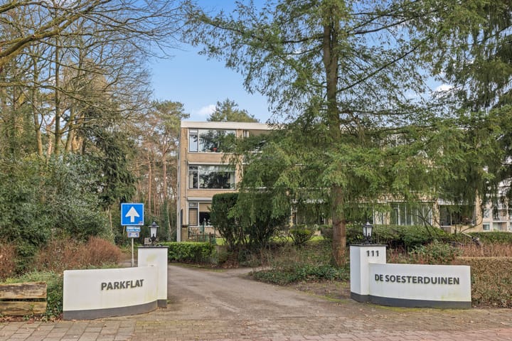 Photo 6 of Soesterbergsestraat 111-114