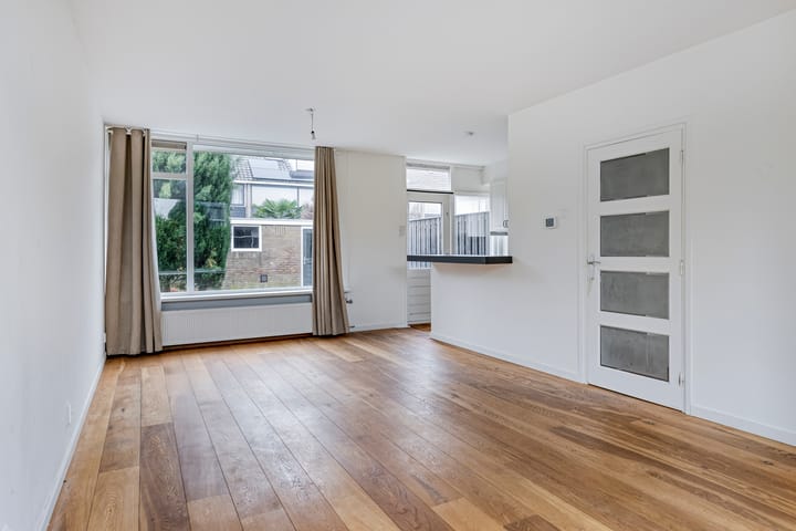 Schultz van Haegenstraat 17