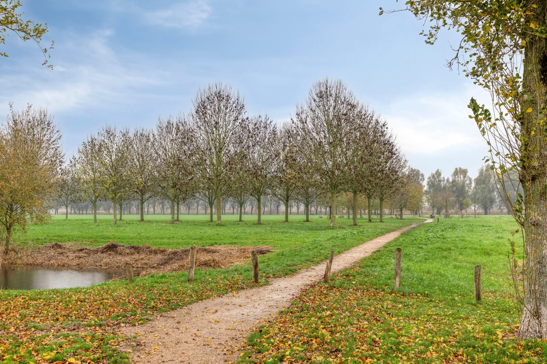 Photo 23 of Schultz van Haegenstraat 17