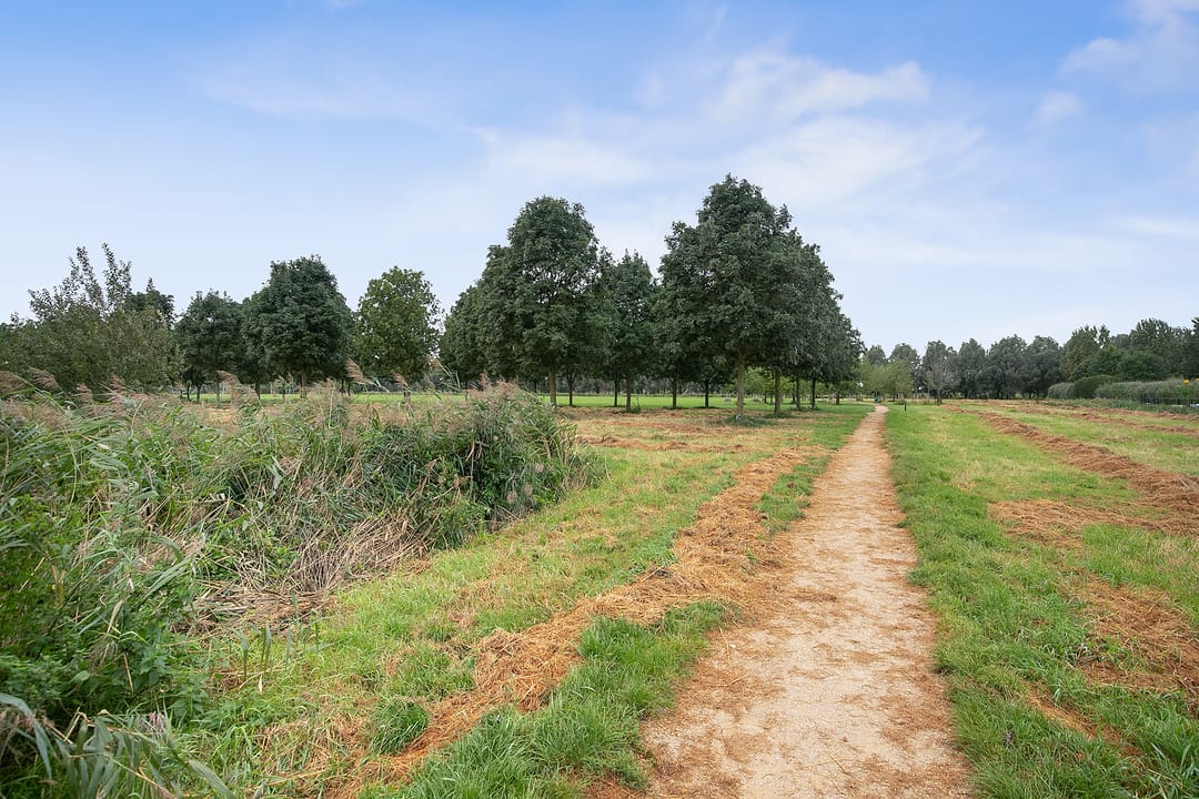 Photo 26 of Schultz van Haegenstraat 17