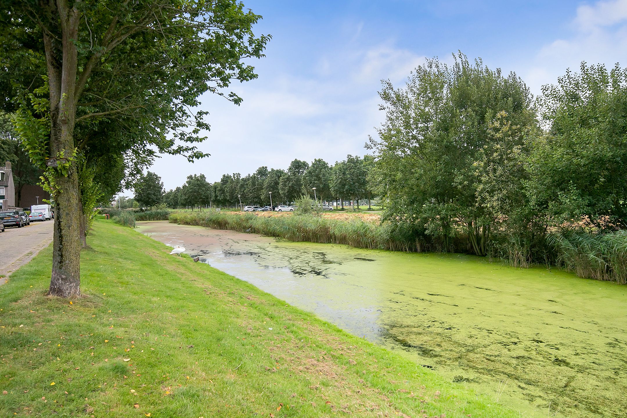 Photo 27 of Schultz van Haegenstraat 17