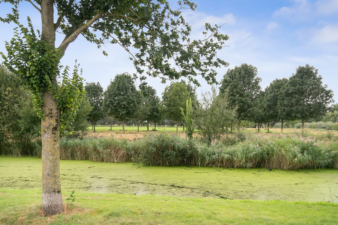 Photo 28 of Schultz van Haegenstraat 17