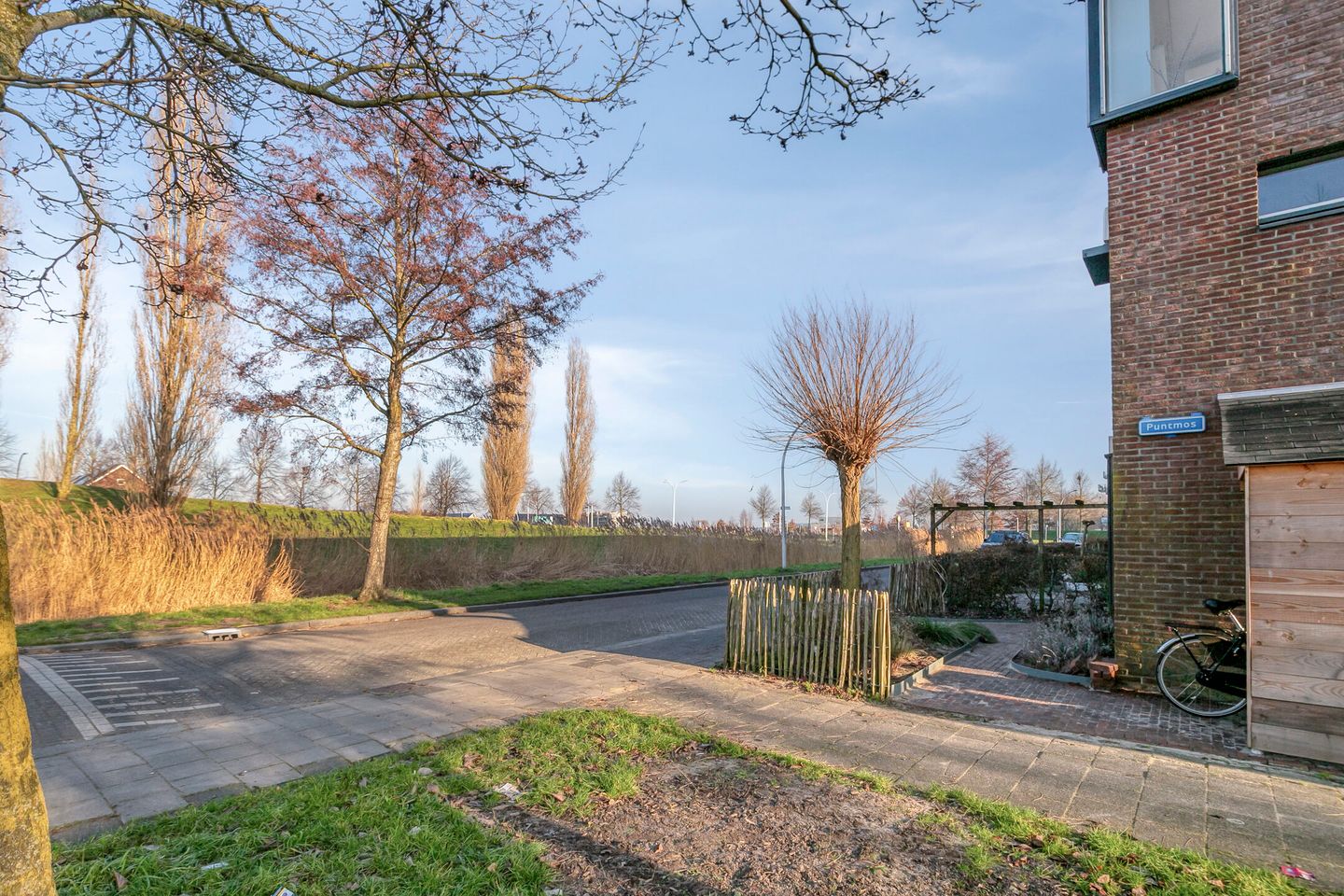 Foto 4 van Sterrenmos 54