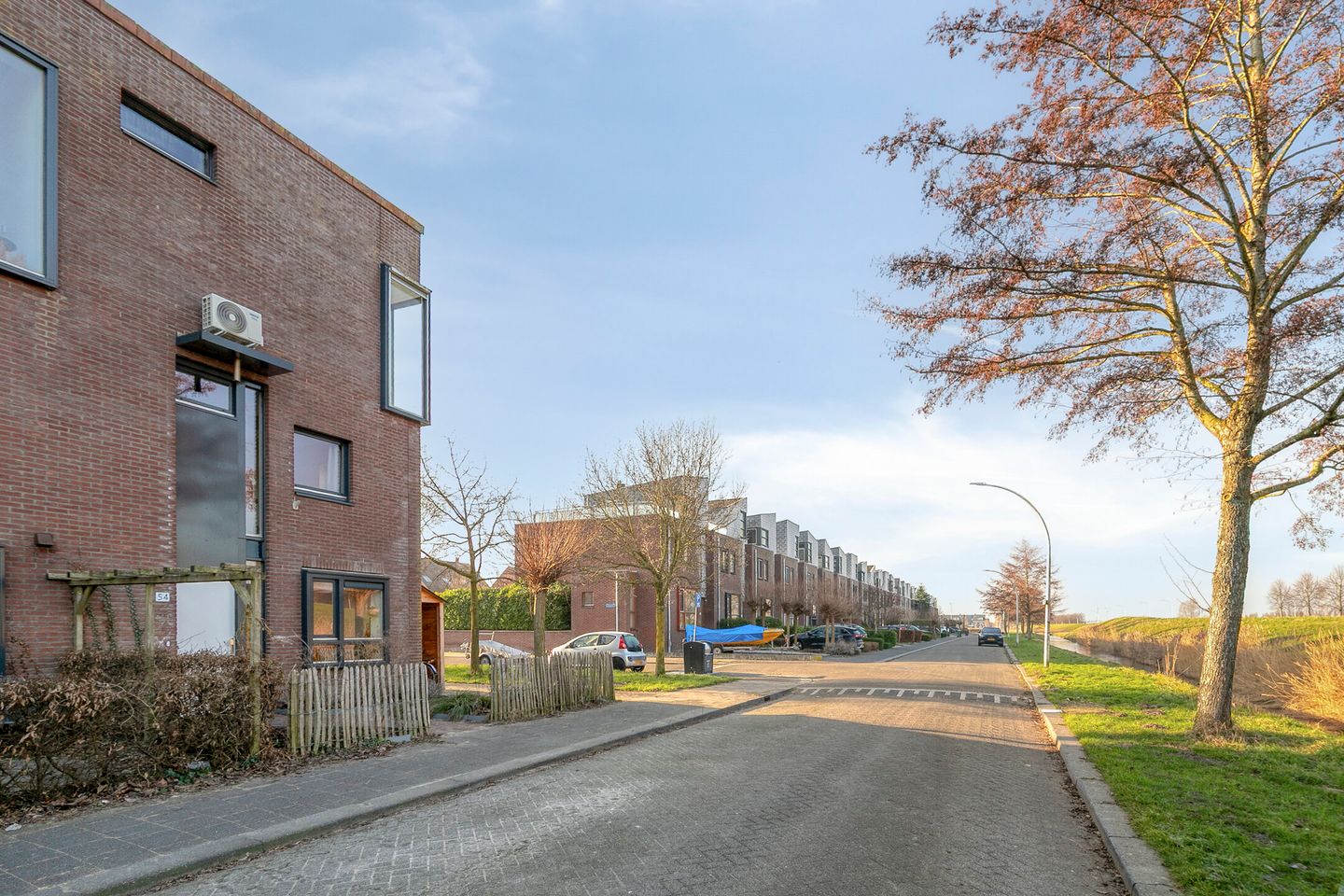 Foto 5 van Sterrenmos 54