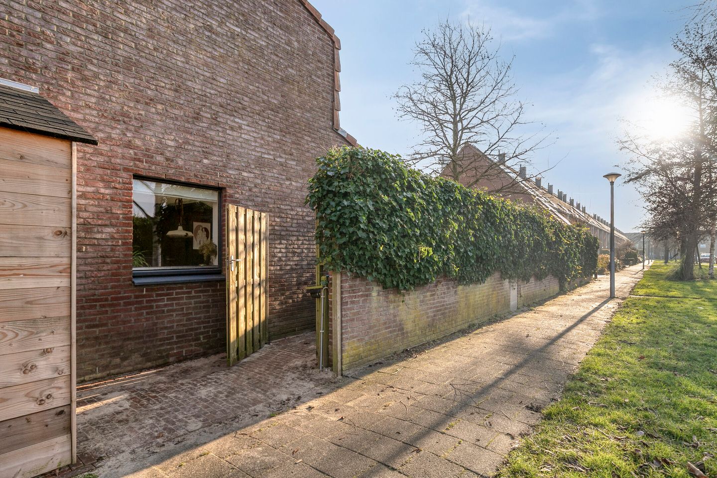 Foto 29 van Sterrenmos 54