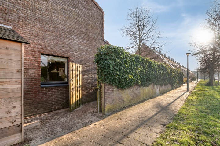 Foto 27 van Sterrenmos 54