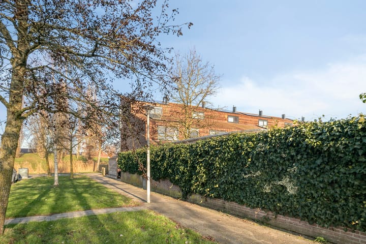 Foto 28 van Sterrenmos 54