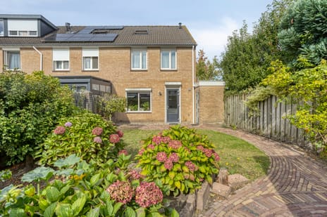 Robijnring thumbnail