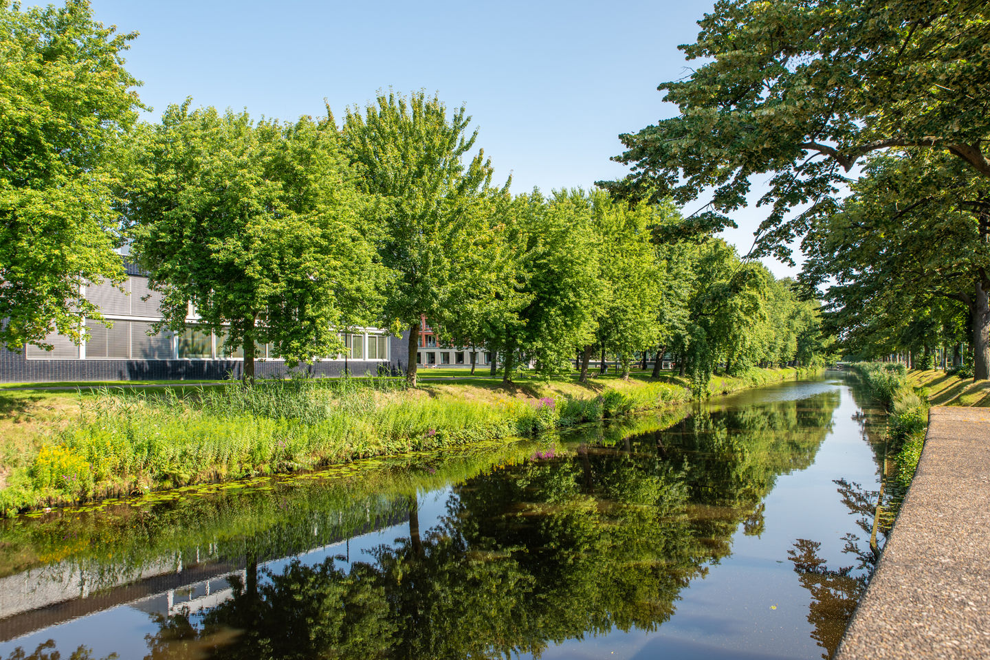 Photo 49 of Het Bolwerk 66