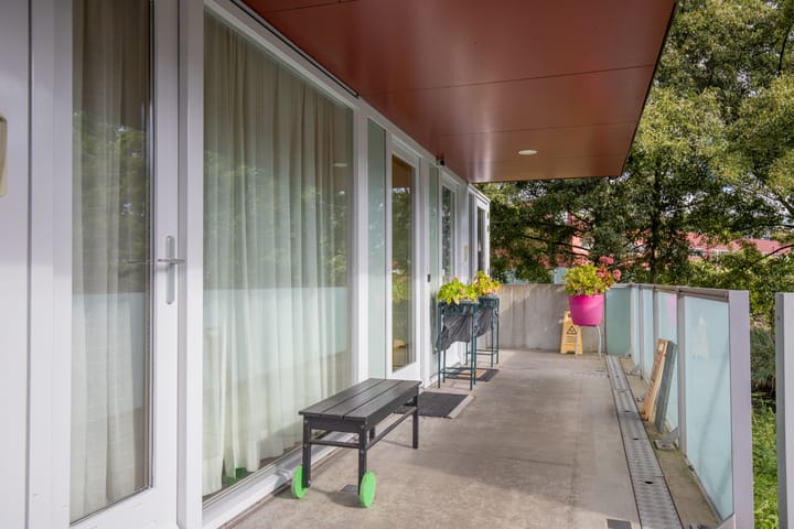 Foto 5 van Meerval 86