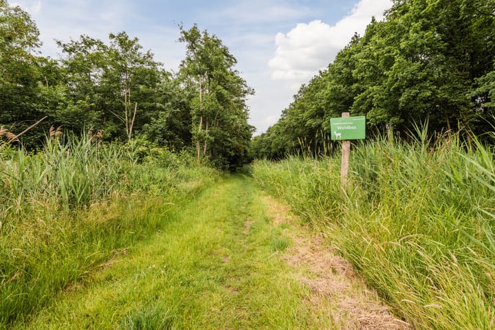 Foto 47 van Zoom 15 18