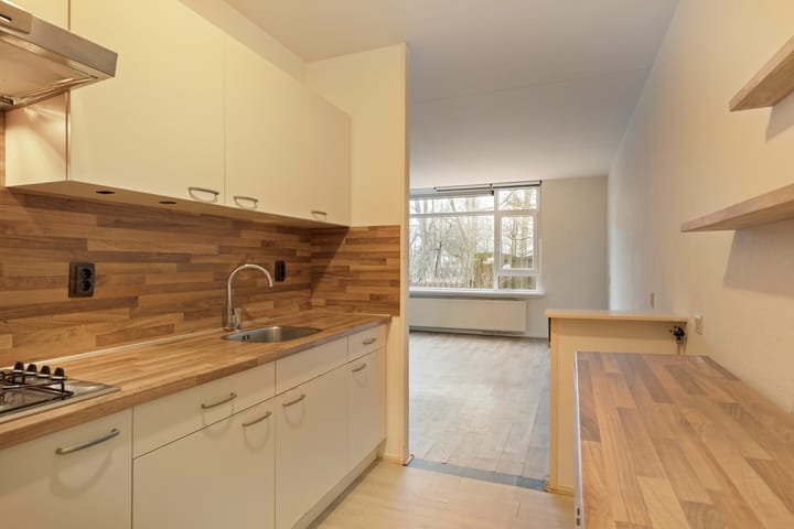 Foto 9 van Midscheeps 30