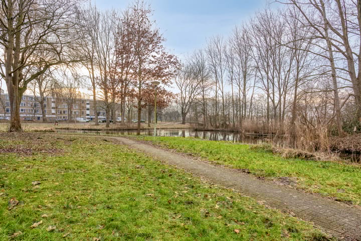 Foto 15 van Midscheeps 30