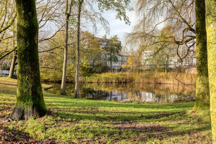 Foto 34 van Meerpaal 313