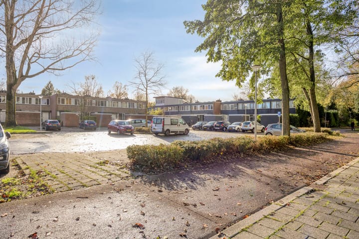 Foto 37 van Meerpaal 313