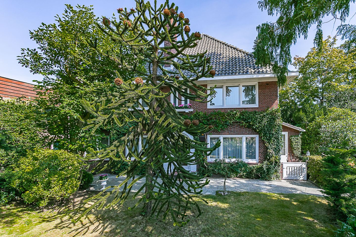 Foto 4 van Bodemplein 41