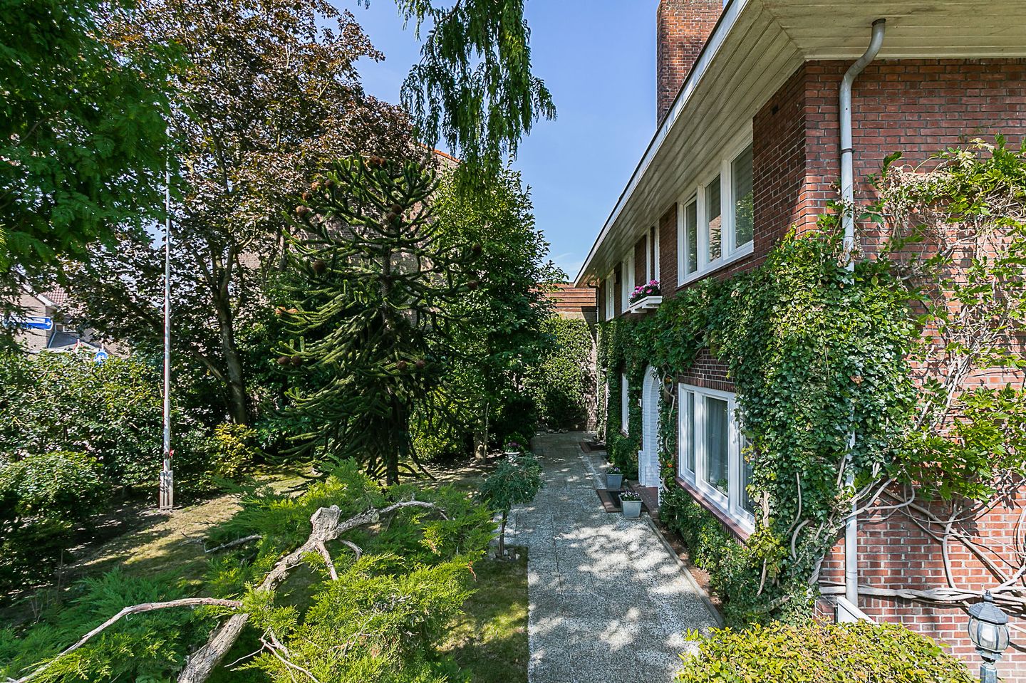 Foto 5 van Bodemplein 41