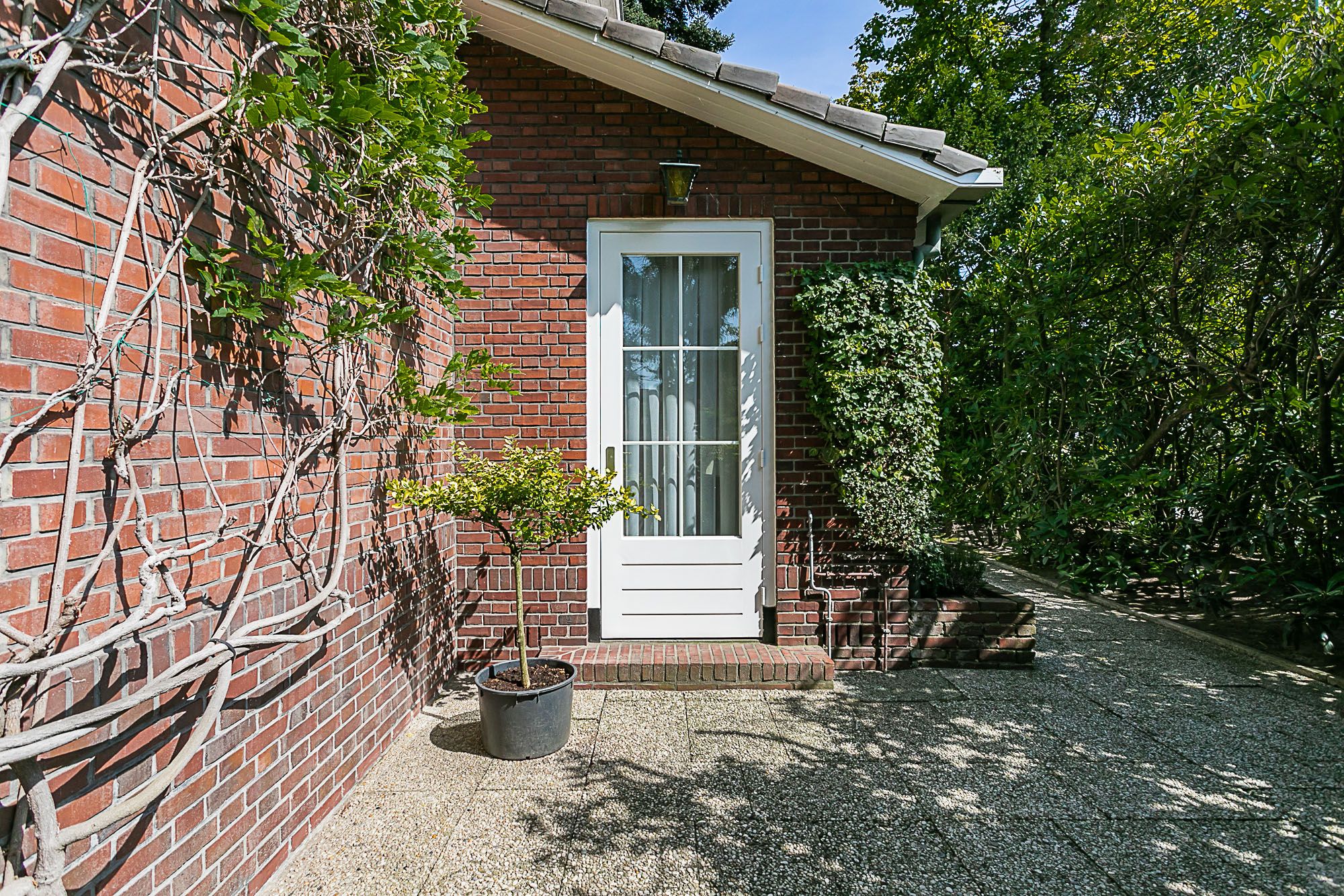 Foto 9 van Bodemplein 41