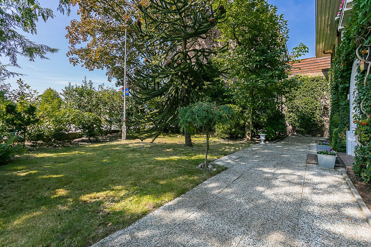 Foto 10 van Bodemplein 41