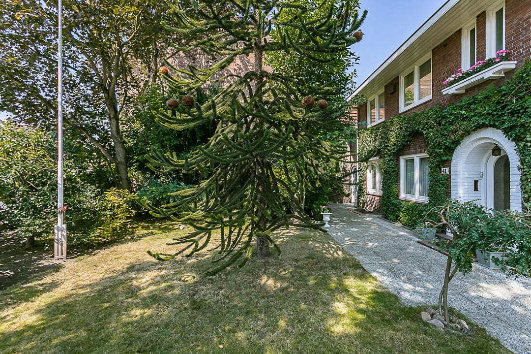 Foto 13 van Bodemplein 41