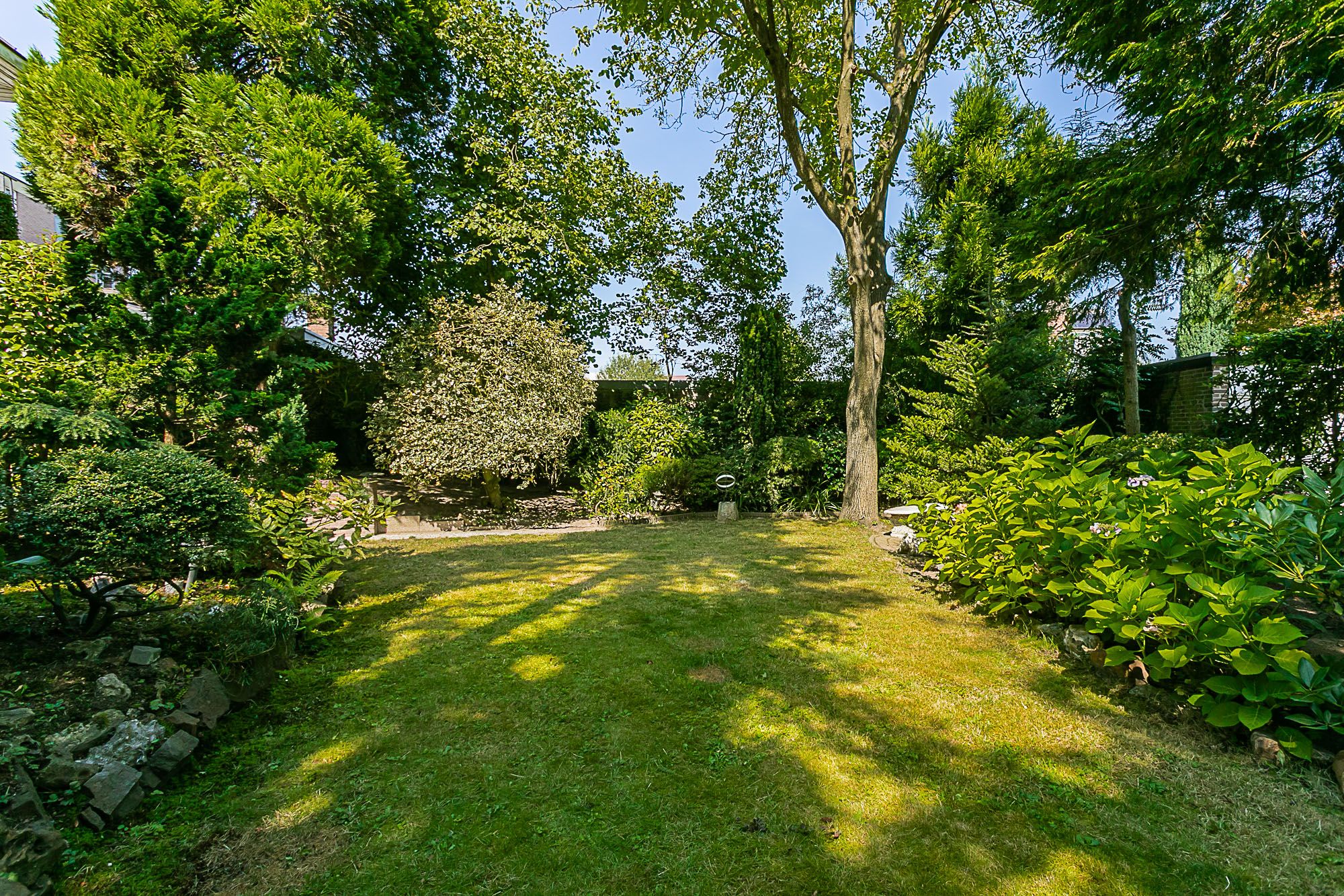 Foto 18 van Bodemplein 41