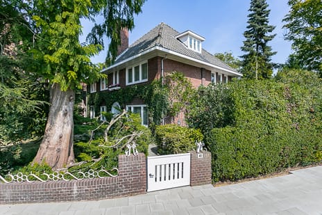 Bodemplein thumbnail