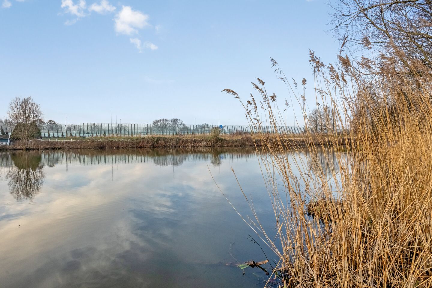 Foto 29 van Vogelkersoord 28