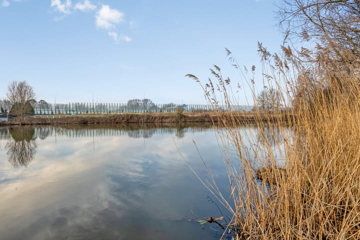 Foto 29 van Vogelkersoord 28