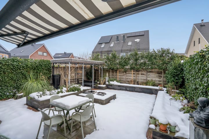 Foto 12 van Thomas Morelaan 8