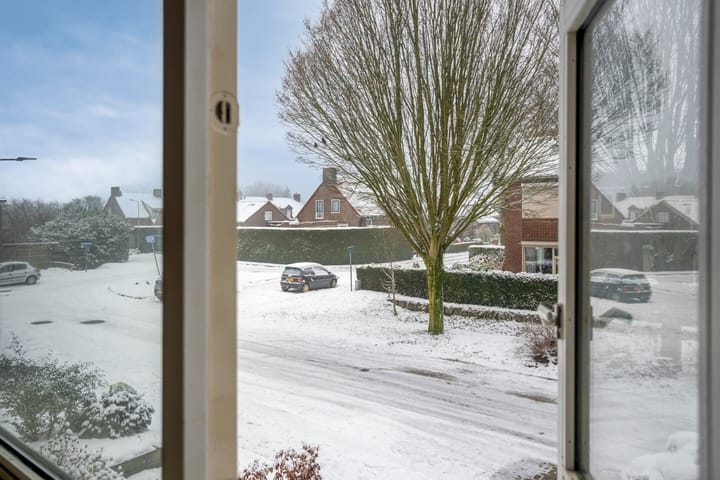 Foto 27 van Biezenkampstraat 6