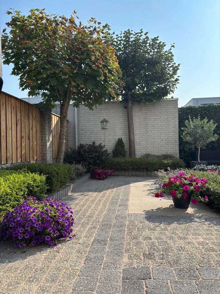 Foto 23 van Tarweplaat 17