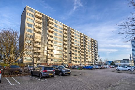 Eisenhowerlaan thumbnail