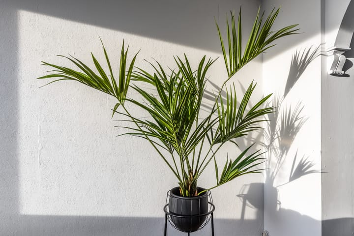 Foto 12 van Eisenhowerlaan 300