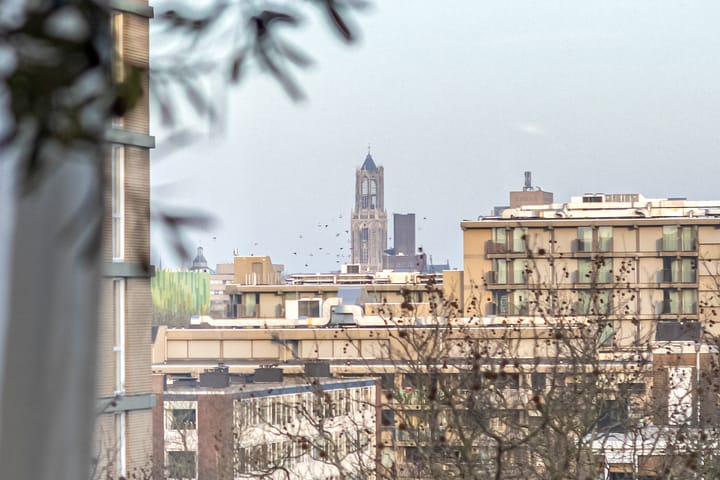 Foto 20 van Eisenhowerlaan 300