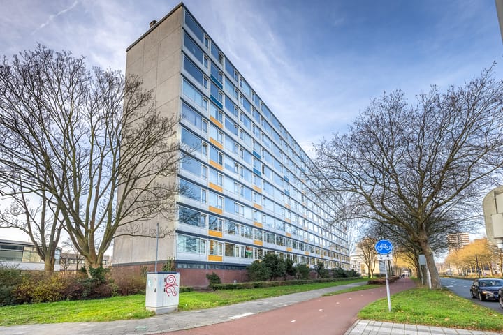 Foto 42 van Eisenhowerlaan 300