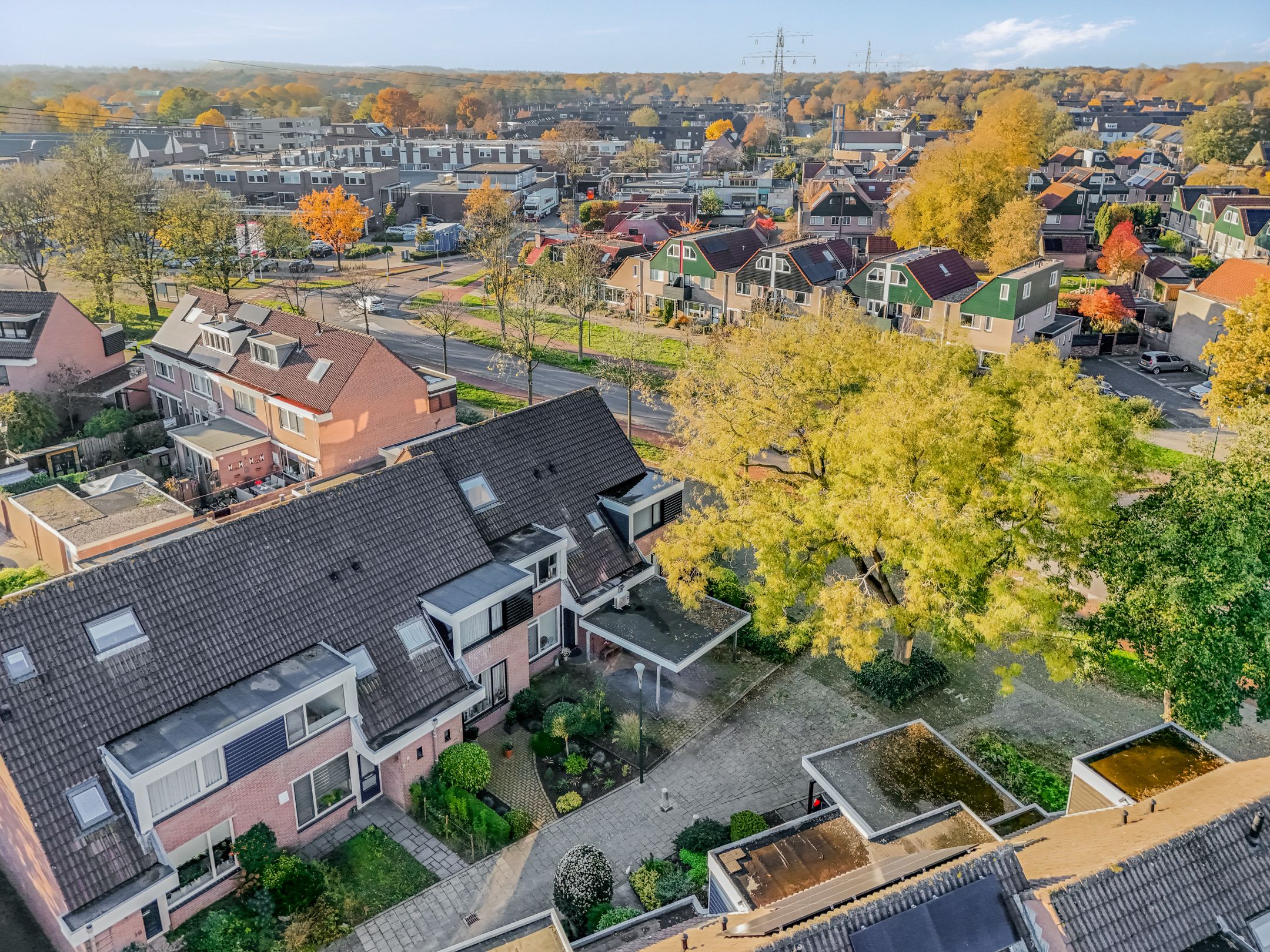 Photo 48 of Roodvalk 4