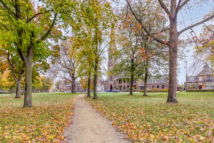 Foto 50 van Ruiterspoor 37