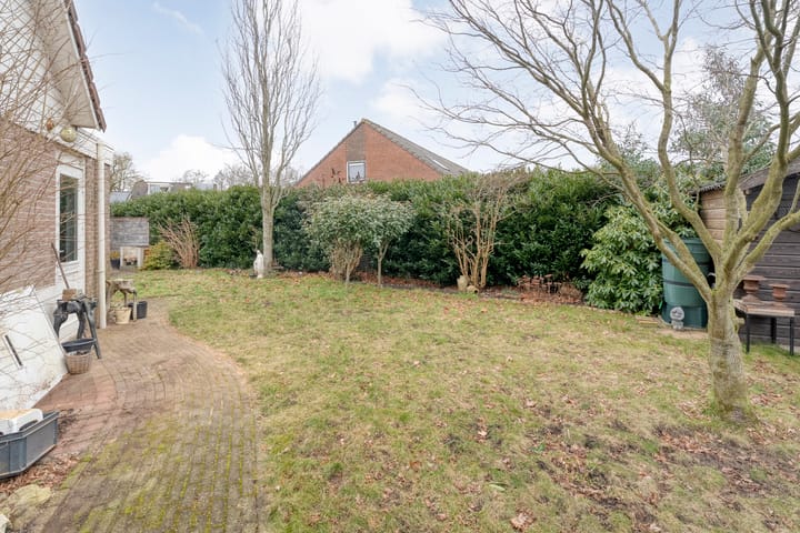 Foto 36 van Speenkruid 35