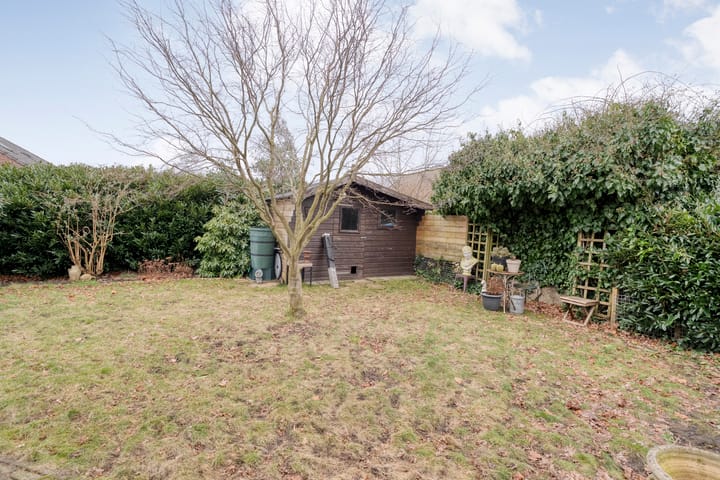 Foto 37 van Speenkruid 35