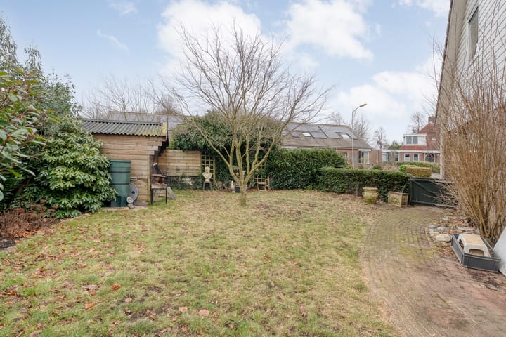 Foto 38 van Speenkruid 35