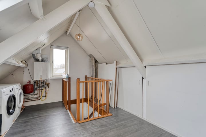 Foto 35 van Speenkruid 35